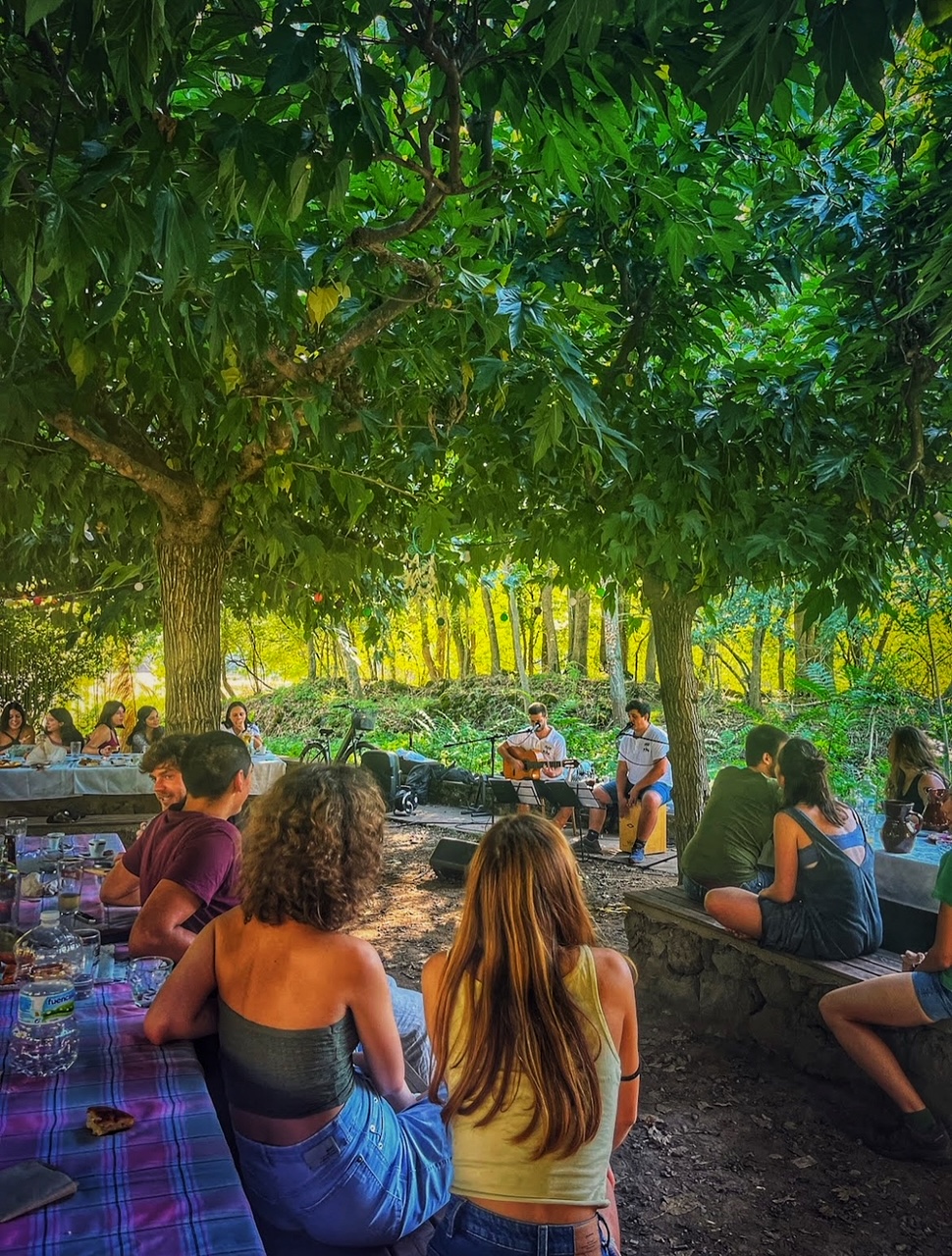 cafeteria a olot cafeteria a les vies verdes